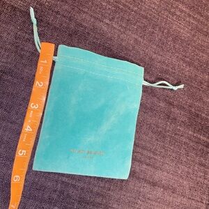 Kurt Geiger Jewelry Dust bag!
